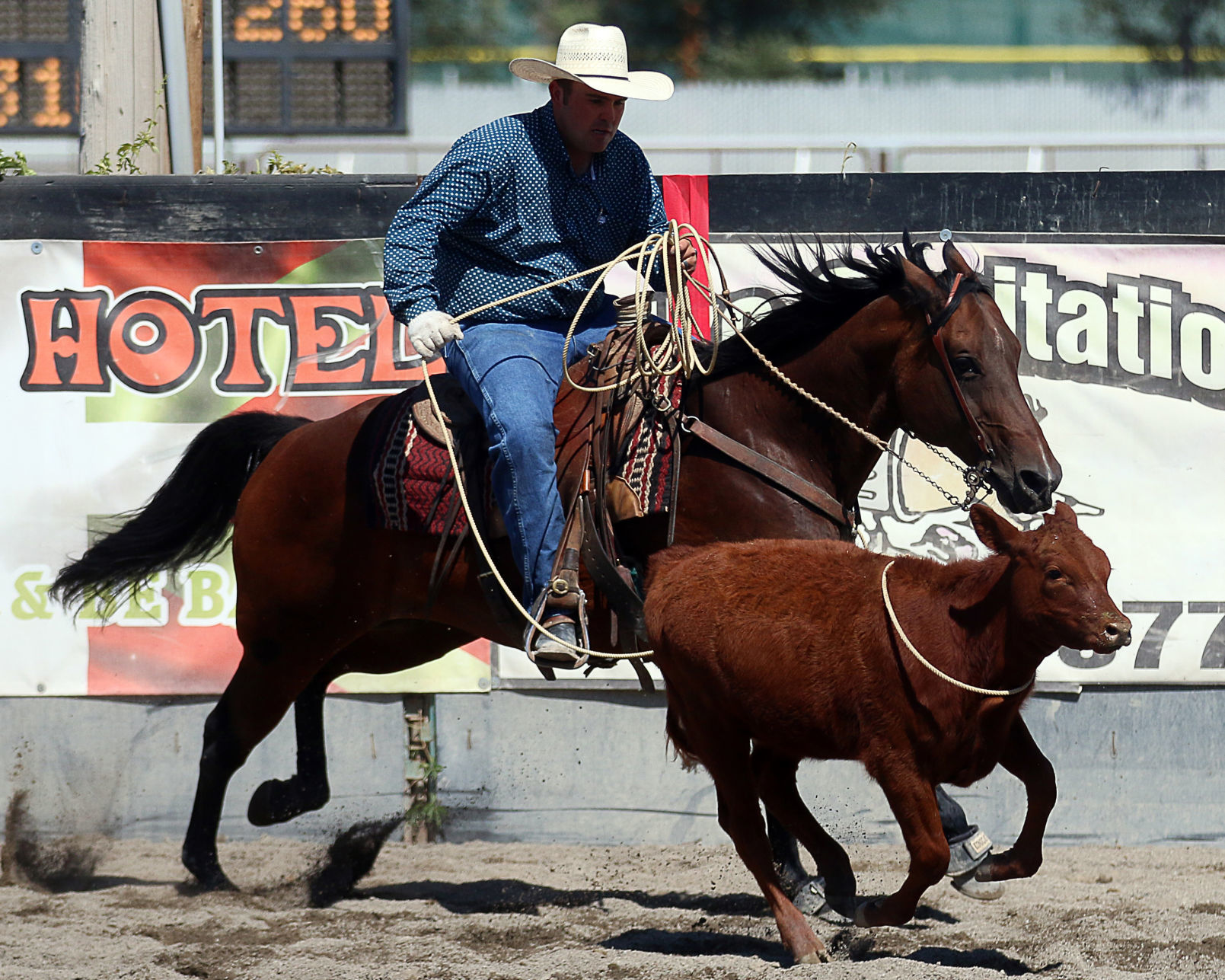 2018 Elko County Fair Open Branding Finals (28).JPG